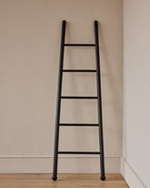 Black Bloak Ladders