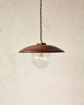 Large pendant light with oversized clear glass globe and decorative wooden black walnut shade with brass chain